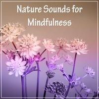 Nature Sounds for Mindfulness – Chakra Meditation, White Noise, Peaceful Music