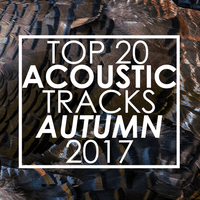 Top 20 Acoustic Tracks Fall 2017