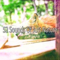 52 Sounds Of Just Nature