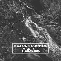 Nature Sounds Collection