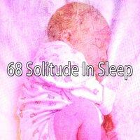 68 Solitude in Sleep