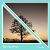 #14 Harmonious Tracks for Meditation