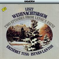 Liszt: Weihnachtsbaum / 2 Episodes From Lenau's Faust