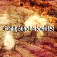 55 Calming Sounds for Peaceful Rest