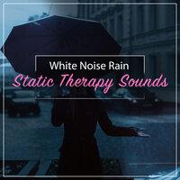 11 Static and White Noise Rain and White Noise Therapy Sounds