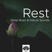 Rest - Sleep Music, Nature Sounds, Ocean Waves, Rain, Forest, BirdSong