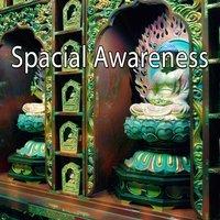 Spacial Awareness