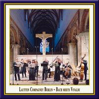 Concerto for 4 Violins in B Minor, Op. 3 No. 10, RV 580: II. Largo - Larghetto