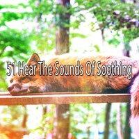 51 Hear the Sounds Of Soothing