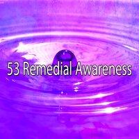 53 Remedial Awareness