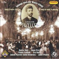 Pazeller, J.: As Long as Waltz is Playing