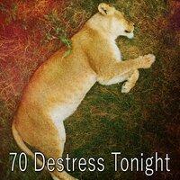 70 Destress Tonight