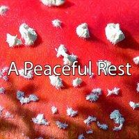 A Peaceful Rest