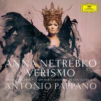 Puccini: Turandot / Act I - "Signore, ascolta!"