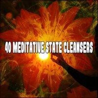 40 Meditative State Cleansers