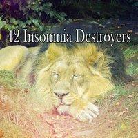 42 Insomnia Destroyers