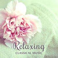 Relaxing Classical Music – Songs for Rest, Instrumental Sounds, Happy Time with Haydn