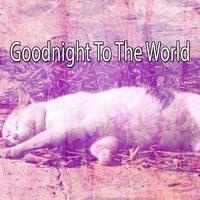 Goodnight To The World