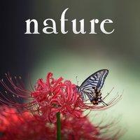 Nature – Brilliant Nature Sounds of Birds and Ocean Waves for Deep Relaxing, Peaceful Sounds of New Age Music