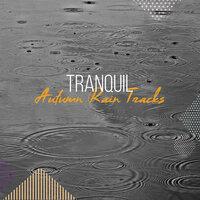 #21 Tranquil Autumn Rain Tracks for Relaxation and Ambience
