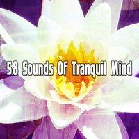 58 Sounds of Tranquil Mind