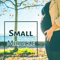 Small Miracle - Birth of Child, Infant Small, Delightful Laughter, Moments of Joy, Pride Parents, Little Hands and Feet, Dream for Mother and Child, Moments Rest