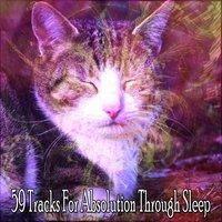 59 Tracks For Absolution Through Sleep