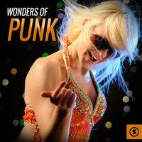 Wonders of Punk