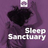 Sleep Sanctuary - Relaxing New Age Music to Help you Gall Asleep Easily in a Soft Atmosphere