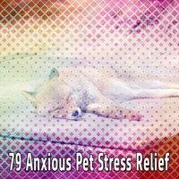 79 Anxious Pet Stress Relief