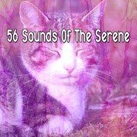 56 Sounds Of The Serene