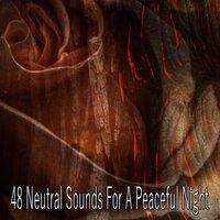 48 Neutral Sounds for a Peaceful Night