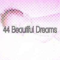 44 Beautiful Dreams