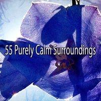 55 Purely Calm Surroundings
