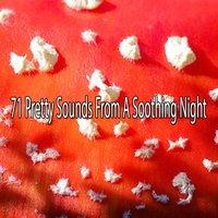71 Pretty Sounds From A Soothing Night