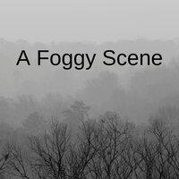A Foggy Scene
