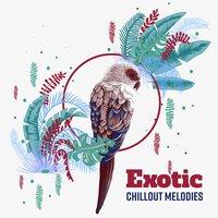 Exotic Chillout Melodies