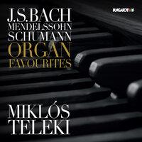 Bach, Mendelssohn & Schumann: Organ Favorites