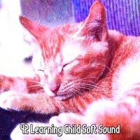 42 Learning Child Soft Sound