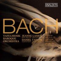 J.S. Bach: Cantatas BWV 70 & 154; Concerto BWV 1060; Orchestral Suite No. 2