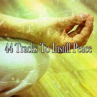 44 Tracks To Instill Peace