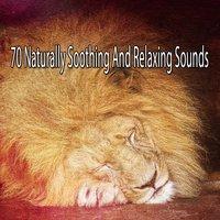70 Naturally Soothing And Relaxing Sounds