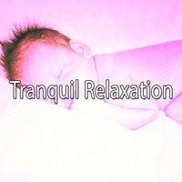 Tranquil Relaxation