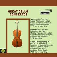 Cello Concerto in D Op. 101 Hob. VIIB No. 2: 2. Adagio