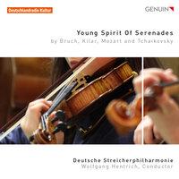 Young Spirit of Serenades