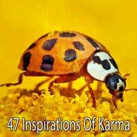 47 Inspirations of Karma