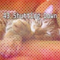 43 Shutting Down
