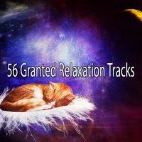 56 Granted Relaxation Tracks