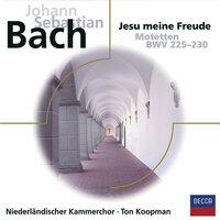 Bach Motetten BWV 225 - 230