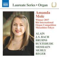 Reger, J.S. Bach, Messiaen & Others: Works for Organ
